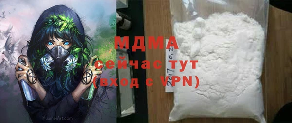 индика Белая Холуница
