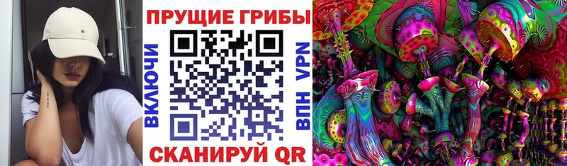 Псилоцибиновые грибы мицелий Пойковский